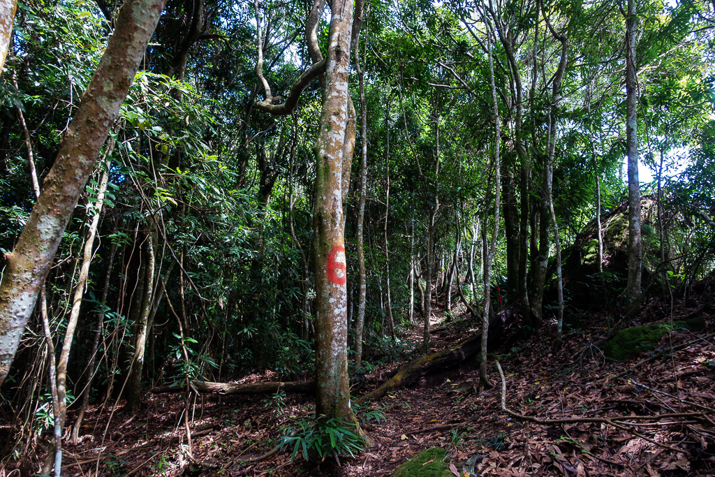 DSC07089.JPG DSC07089.JPG