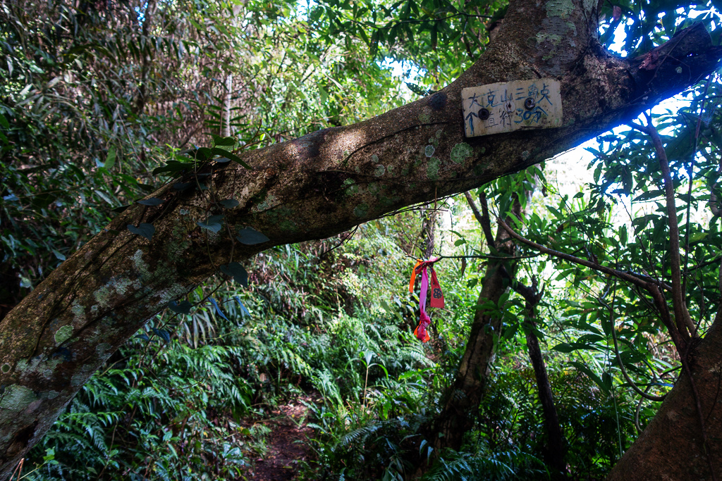 DSC07093.JPG DSC07093.JPG