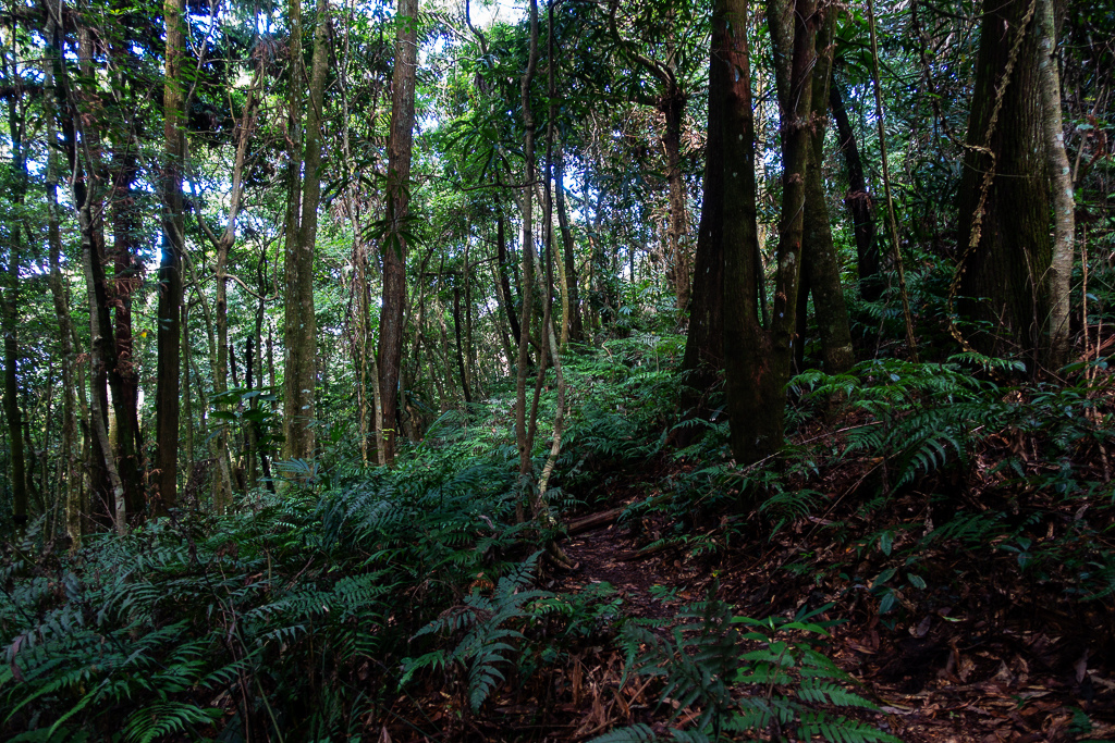 DSC07094.JPG DSC07094.JPG