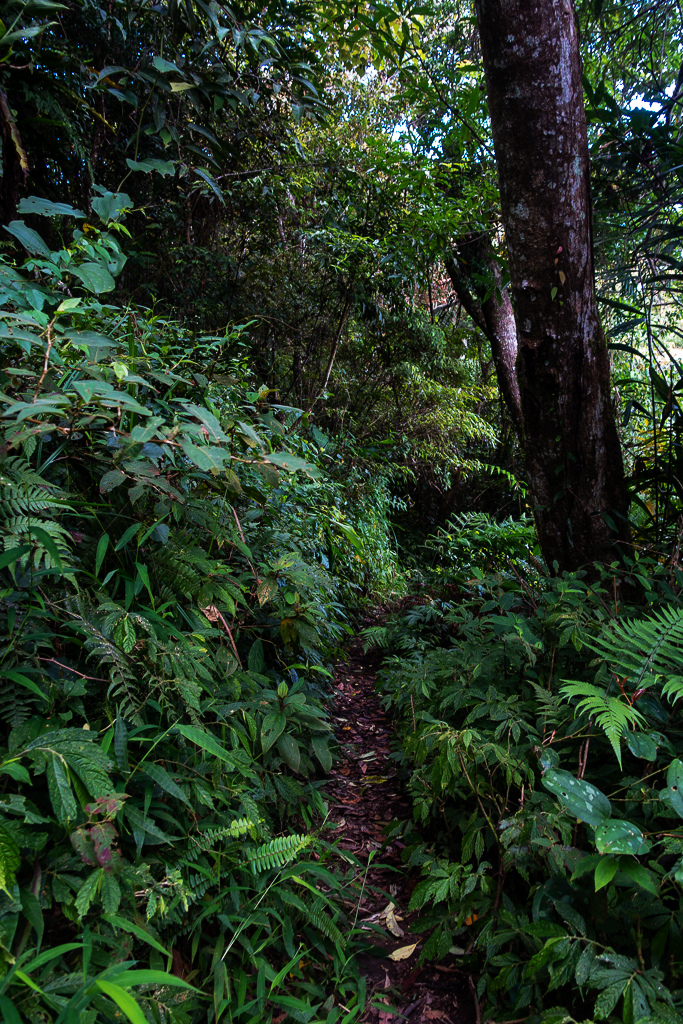 DSC07095.JPG DSC07095.JPG