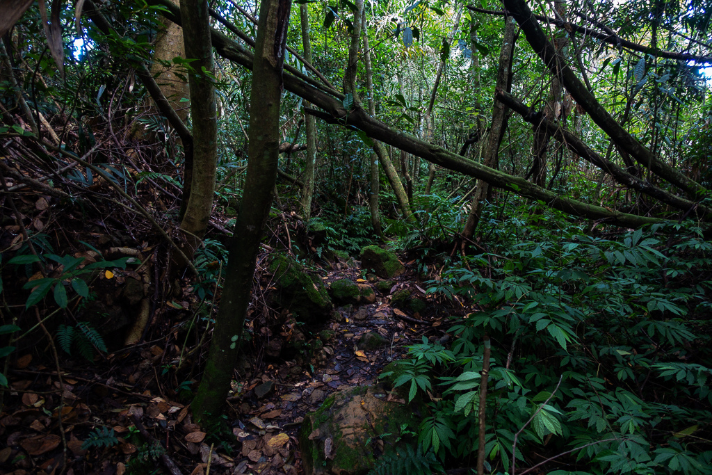 DSC07096.JPG DSC07096.JPG