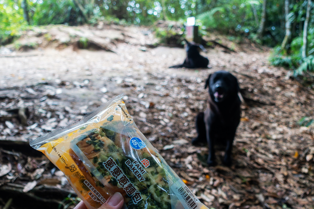 DSC07099.JPG DSC07099.JPG