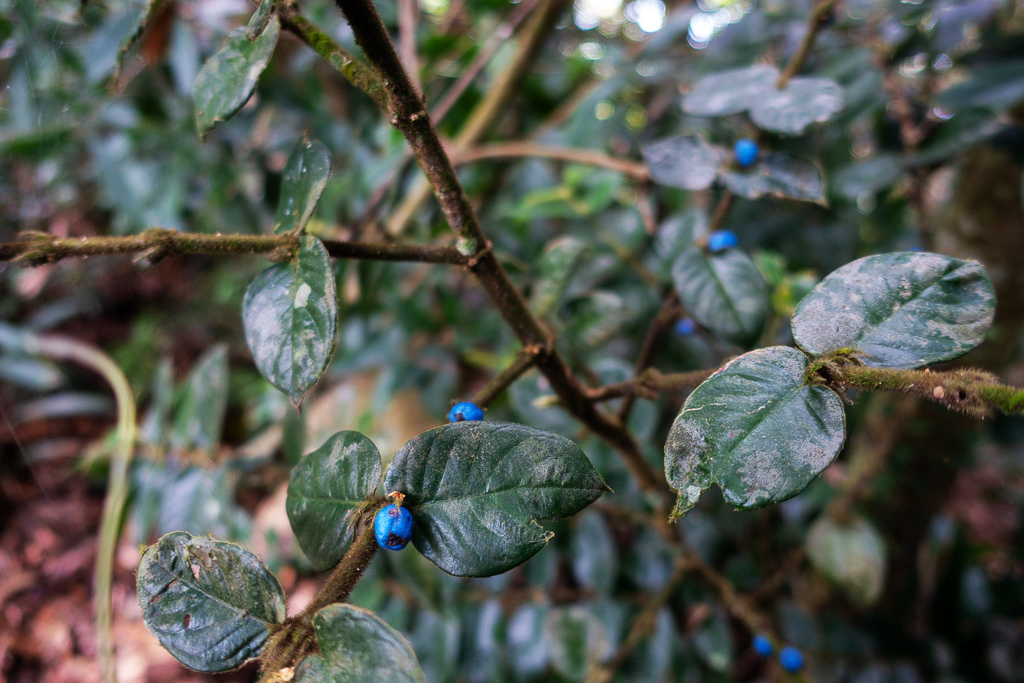 DSC07105.JPG DSC07105.JPG