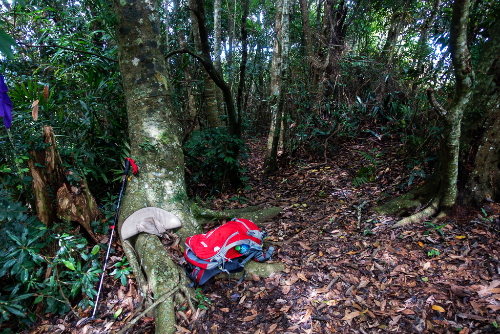 DSC07104.JPG DSC07104.JPG