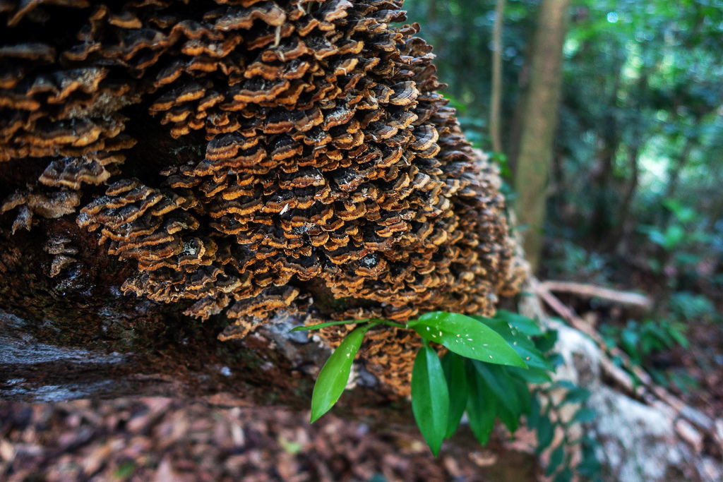 DSC07111.JPG DSC07111.JPG