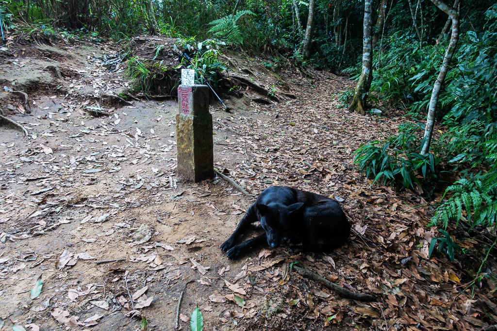 DSC07110.JPG DSC07110.JPG