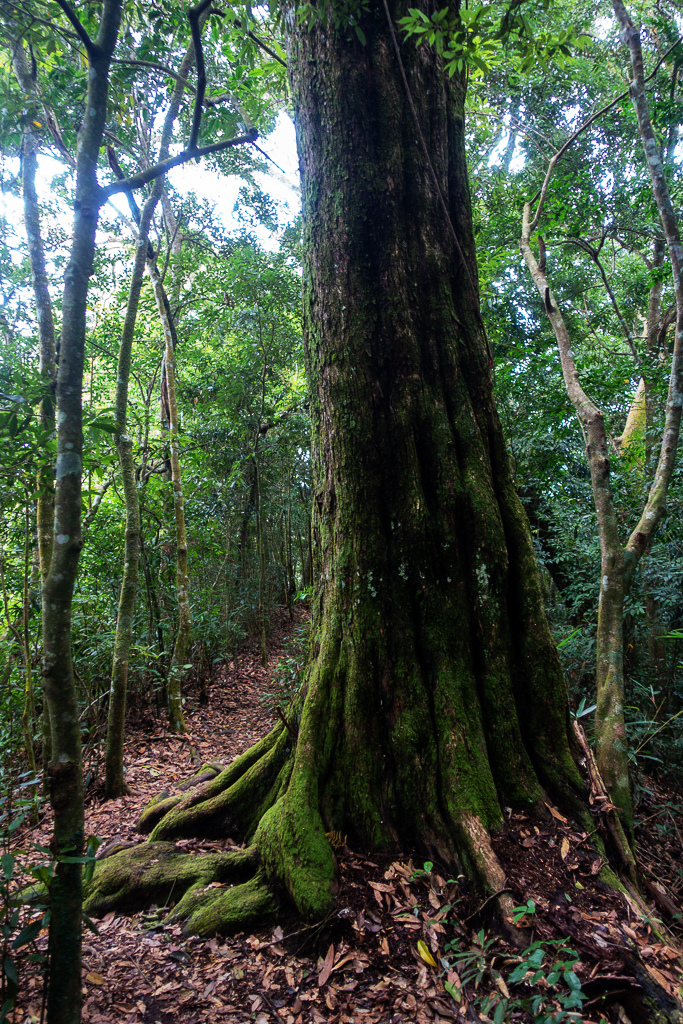 DSC07112.JPG DSC07112.JPG