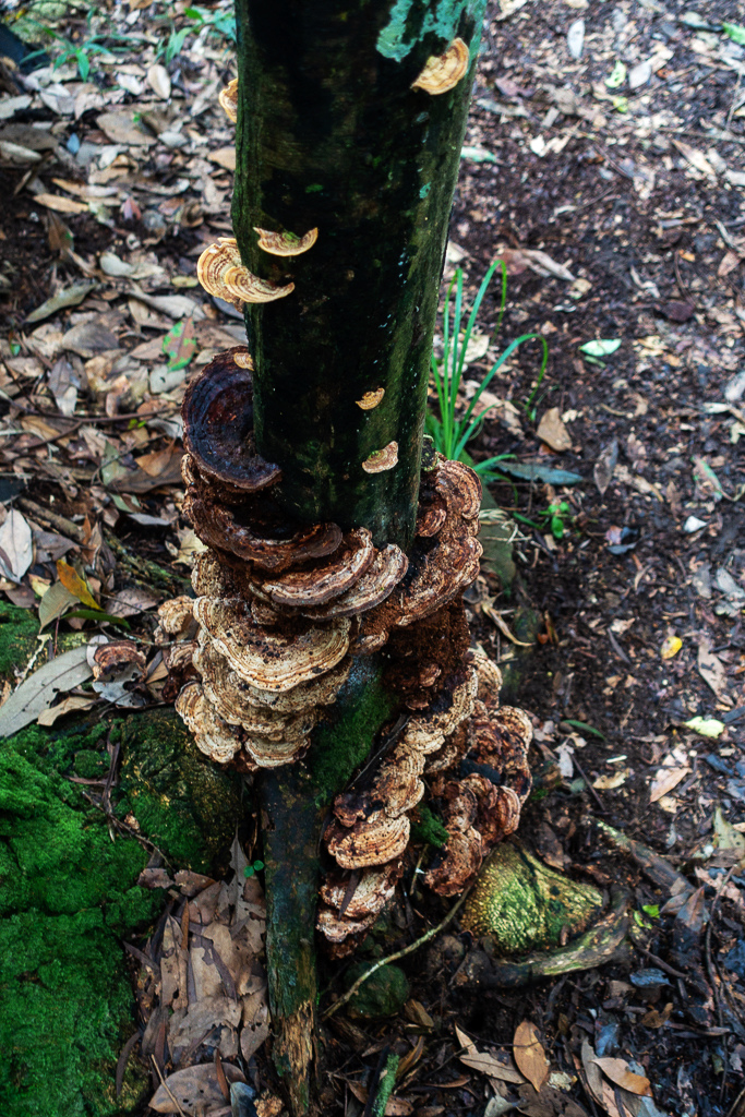 DSC07115.JPG DSC07115.JPG