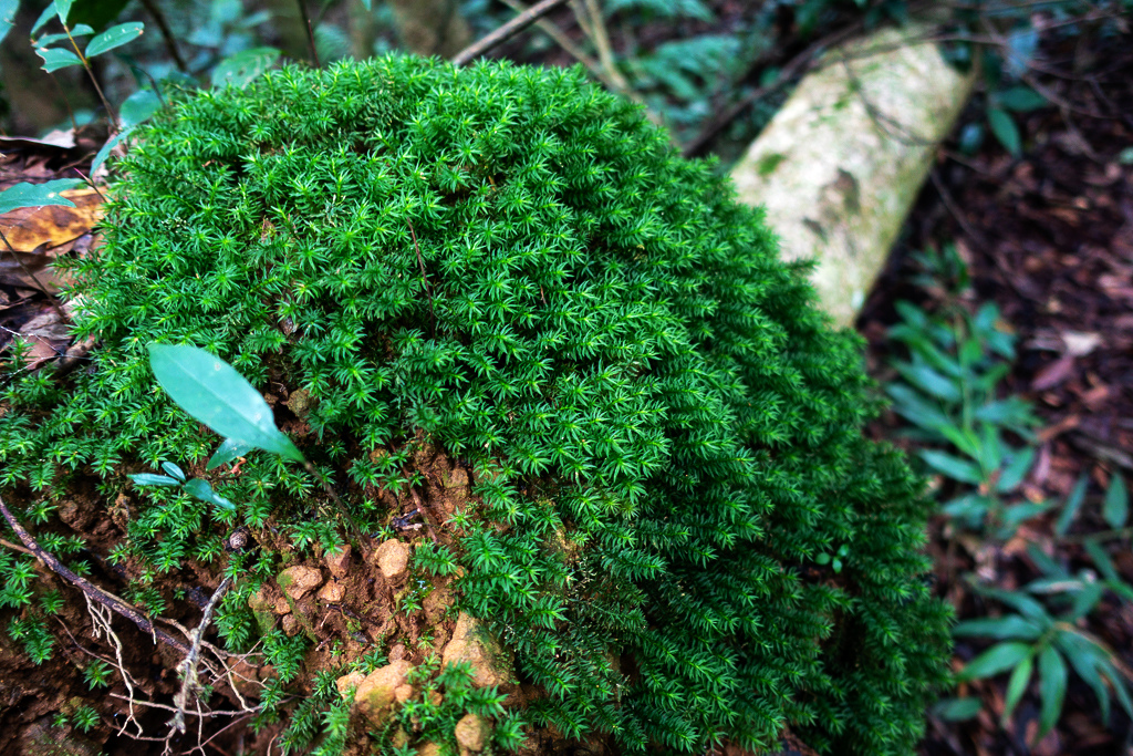 DSC07113.JPG DSC07113.JPG