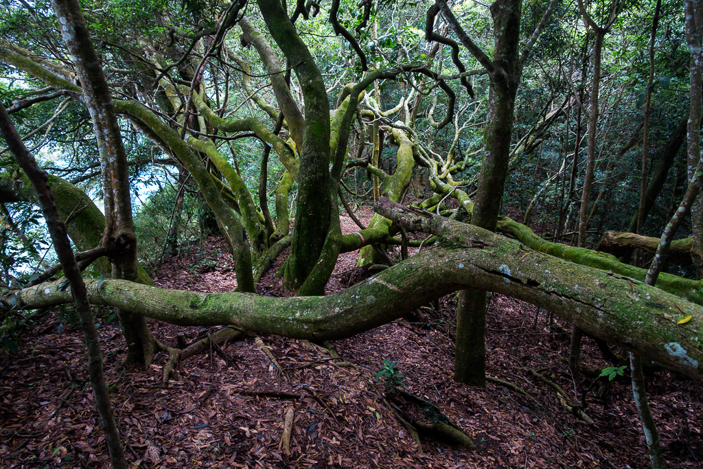 DSC07117.JPG DSC07117.JPG