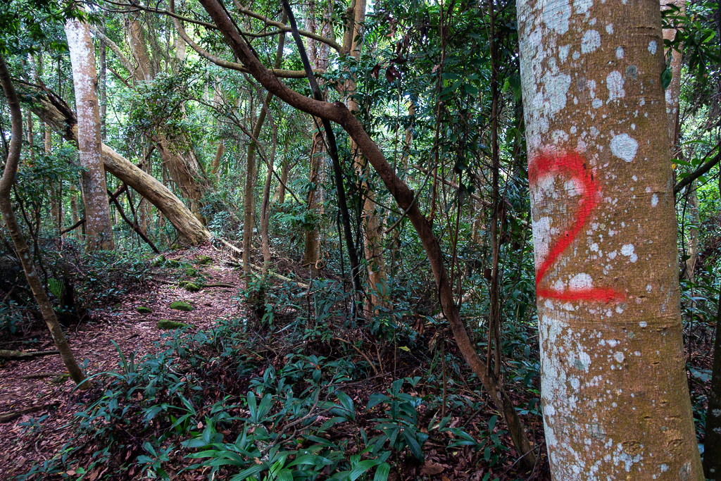 DSC07118.JPG DSC07118.JPG