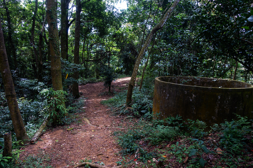 DSC07120.JPG DSC07120.JPG