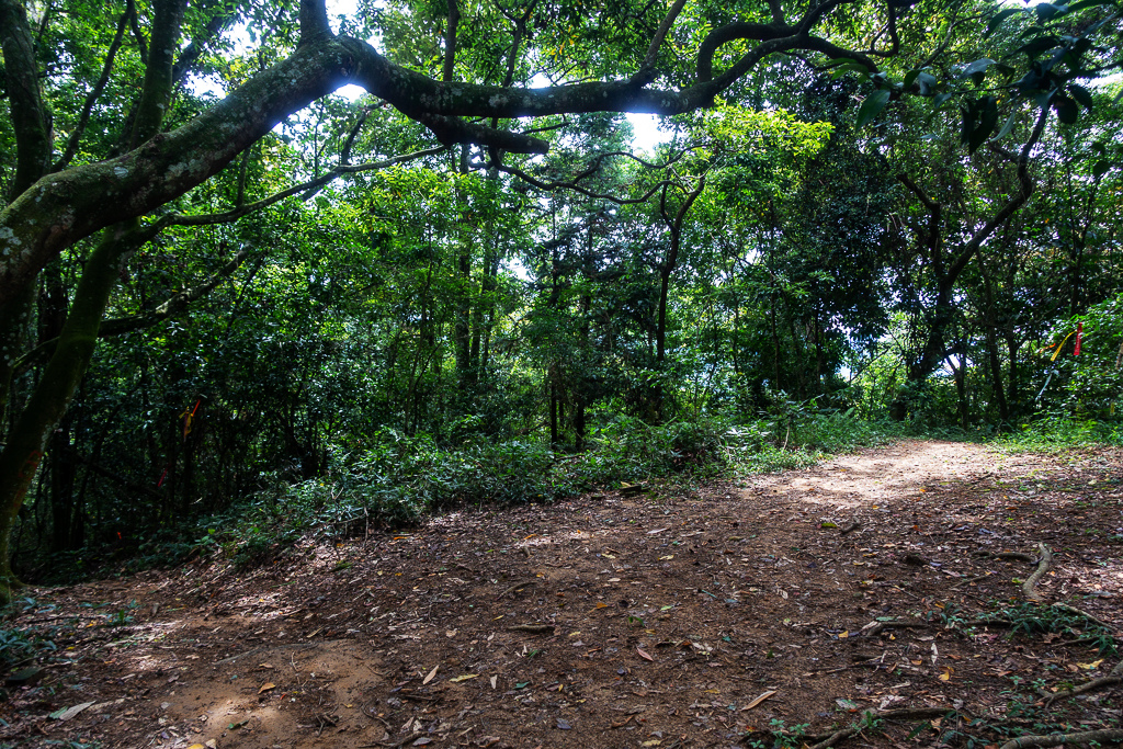 DSC07121.JPG DSC07121.JPG