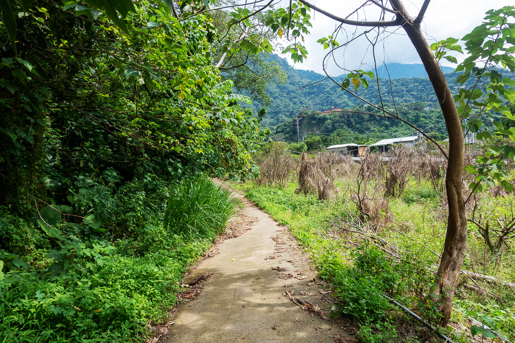 DSC07125.JPG DSC07125.JPG