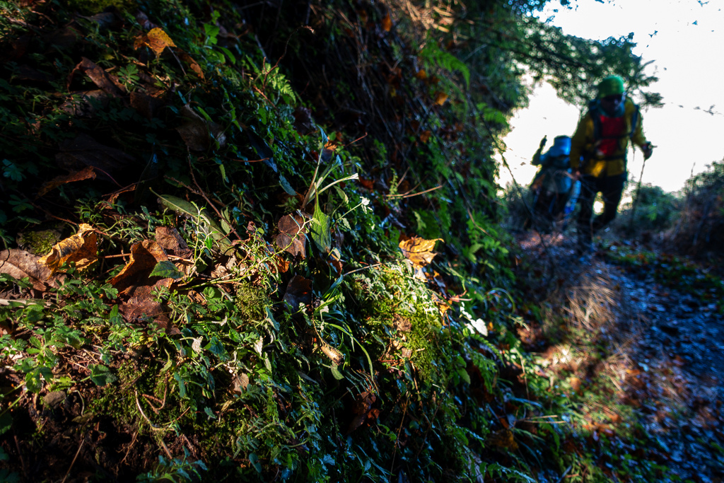 DSC01485.JPG DSC01485.JPG