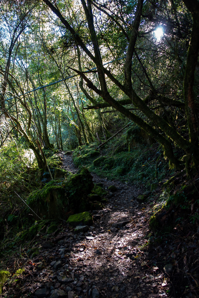 DSC01486.JPG DSC01486.JPG