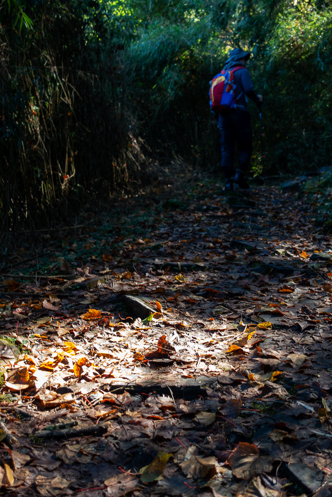 DSC01488.JPG DSC01488.JPG