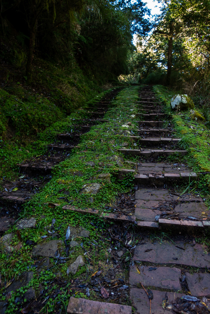 DSC01487.JPG DSC01487.JPG