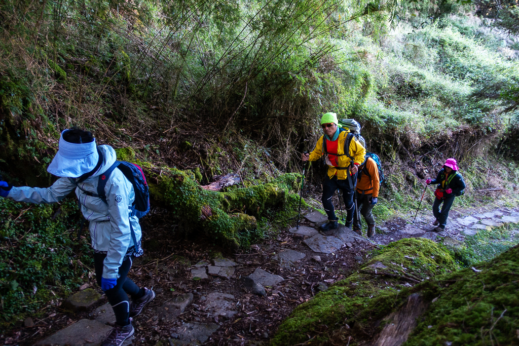 DSC01490.JPG DSC01490.JPG