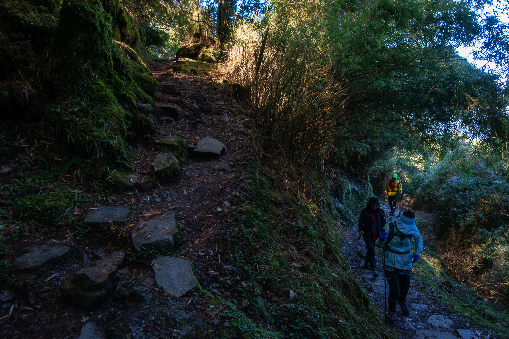 DSC01494.JPG DSC01494.JPG