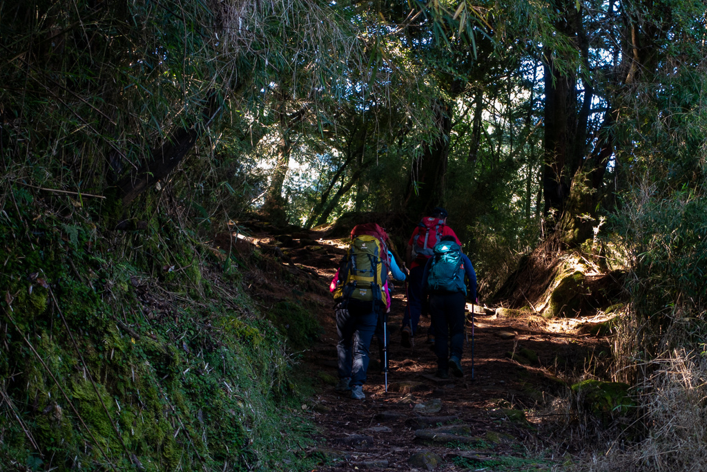 DSC01495.JPG DSC01495.JPG