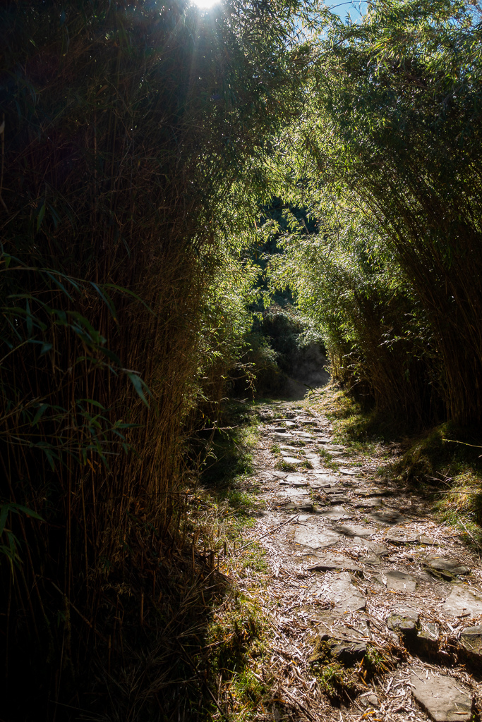 DSC01498.JPG DSC01498.JPG