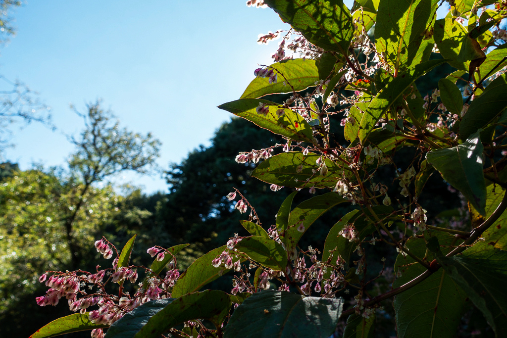 DSC01504.JPG DSC01504.JPG