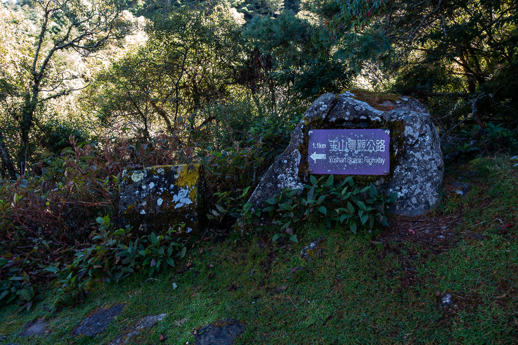 DSC01507.JPG DSC01507.JPG