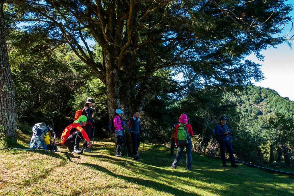 DSC01519.JPG DSC01519.JPG