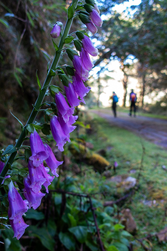 DSC01523.JPG DSC01523.JPG