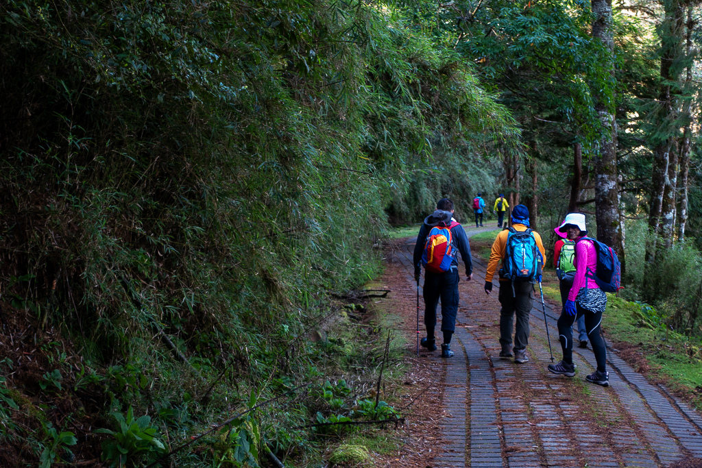 DSC01522.JPG DSC01522.JPG