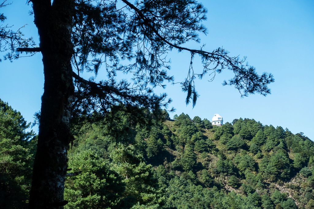 DSC01524.JPG DSC01524.JPG