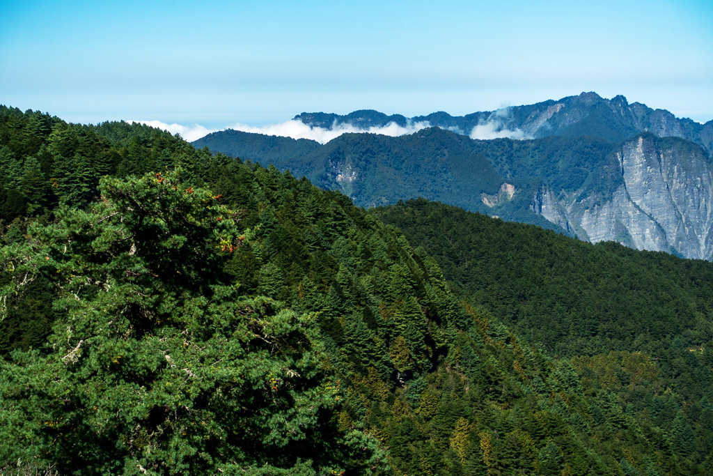 DSC01529.JPG DSC01529.JPG