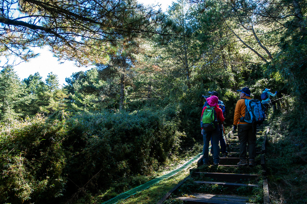 DSC01535.JPG DSC01535.JPG