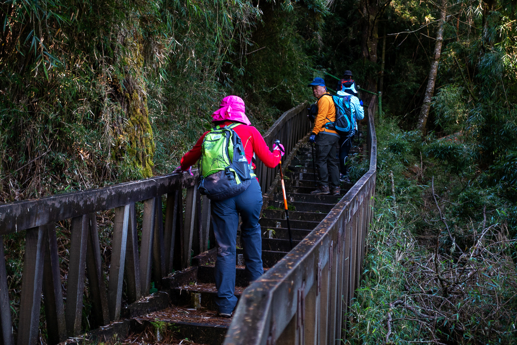 DSC01536.JPG DSC01536.JPG