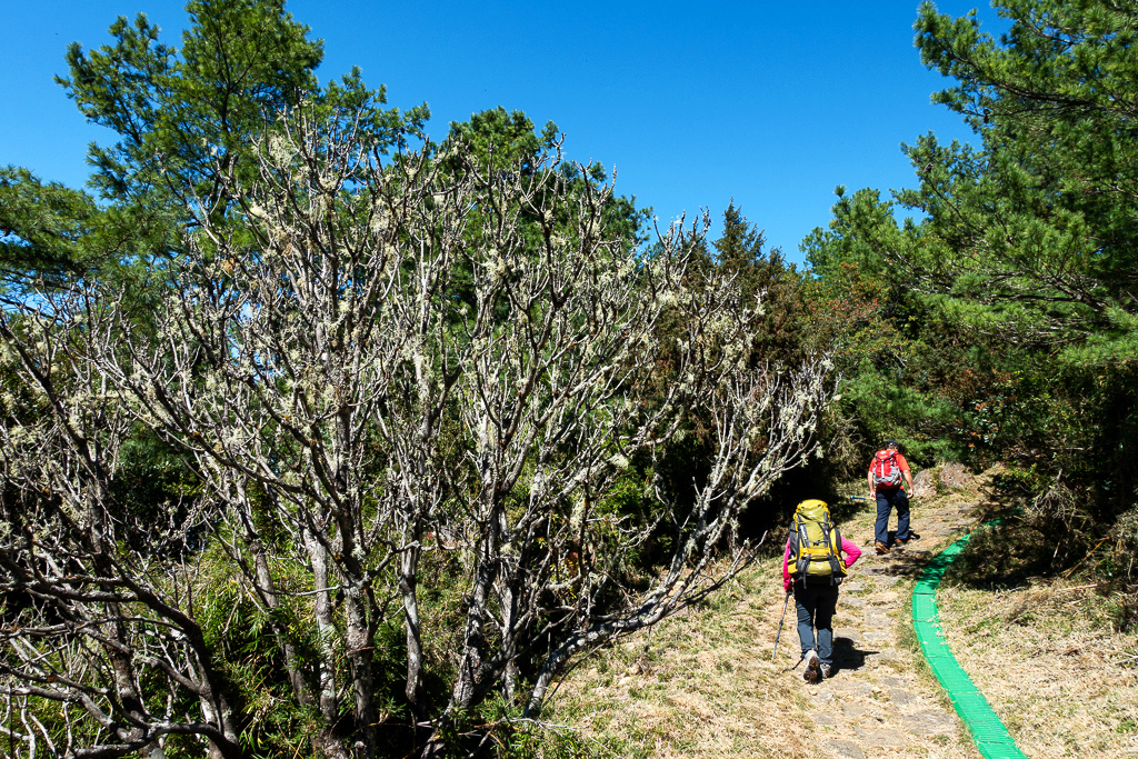 DSC01542.JPG DSC01542.JPG