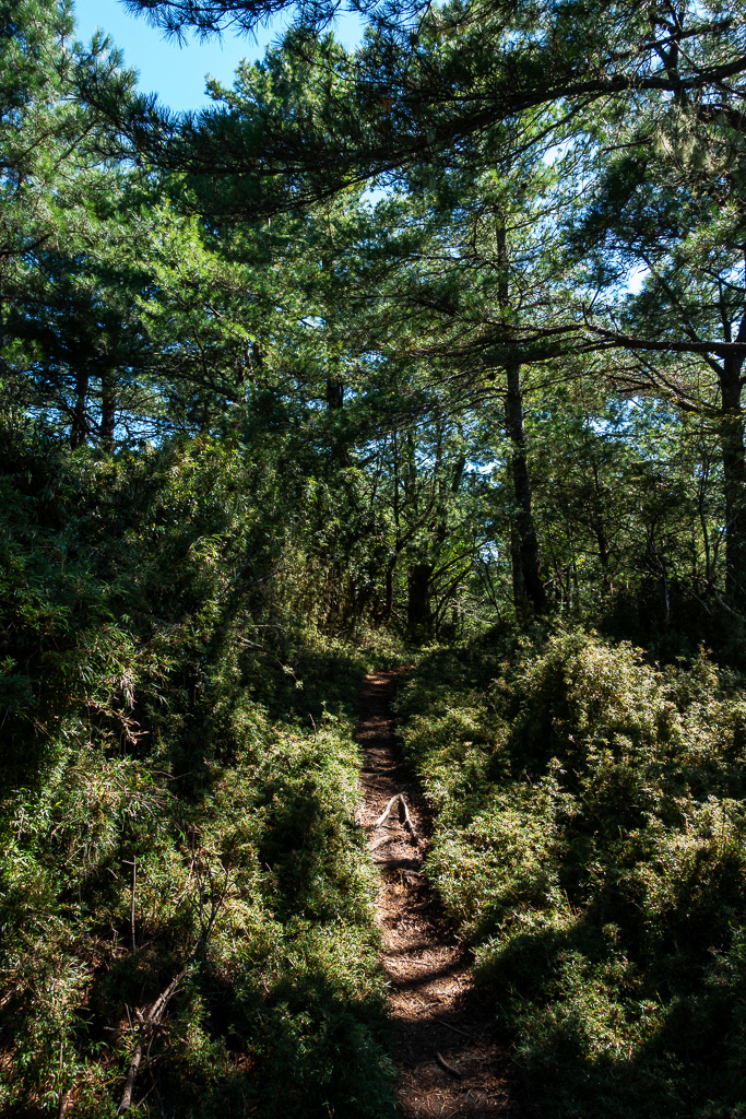 DSC01583.JPG DSC01583.JPG