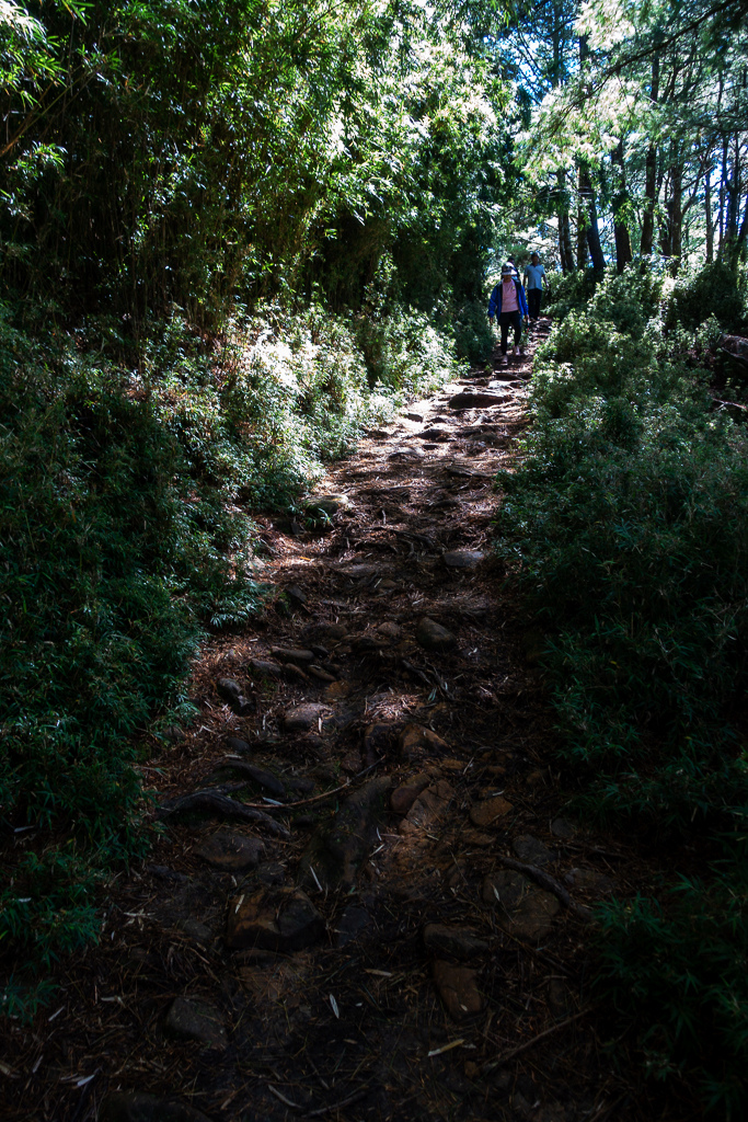 DSC01586.JPG DSC01586.JPG