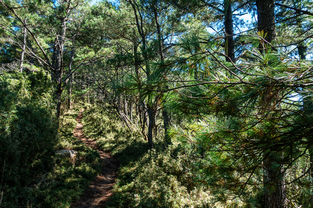 DSC01588.JPG DSC01588.JPG