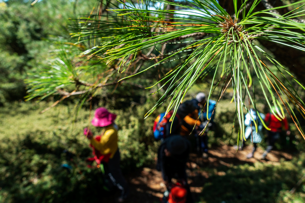 DSC01592.JPG DSC01592.JPG