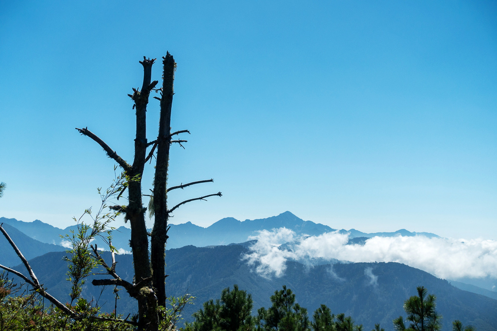 DSC01605.JPG DSC01605.JPG