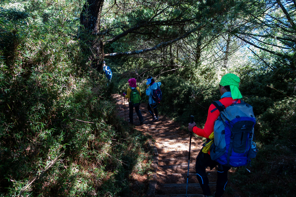 DSC01603.JPG DSC01603.JPG