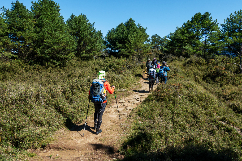 DSC01604.JPG DSC01604.JPG