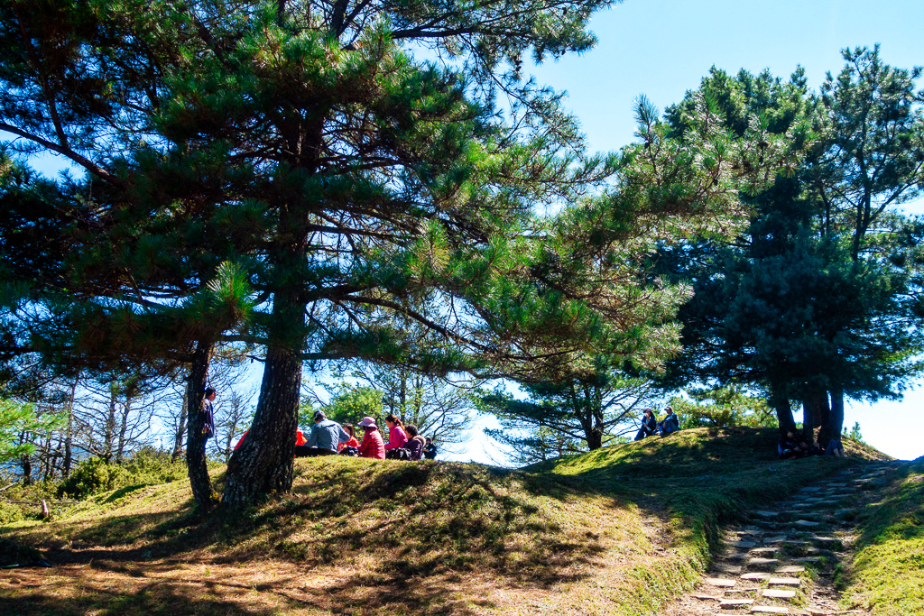 DSC01633-編輯.JPG DSC01633-編輯.JPG