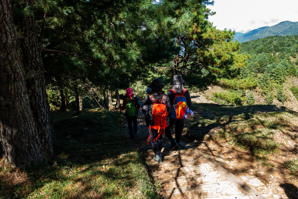 DSC01639.JPG DSC01639.JPG