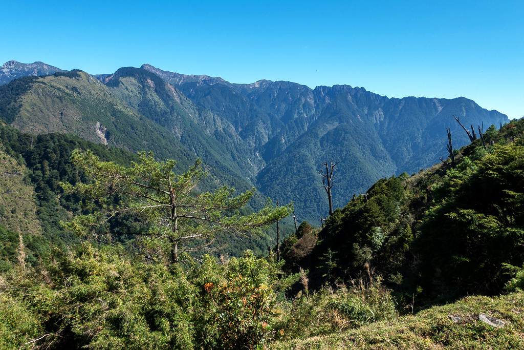 DSC01650.JPG DSC01650.JPG