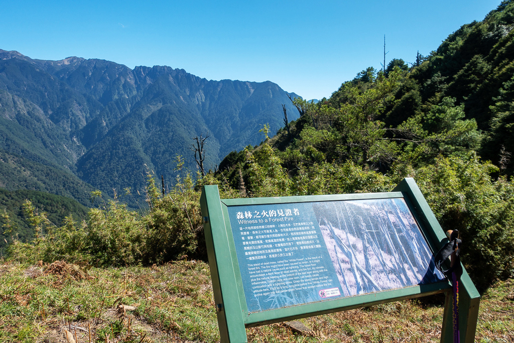 DSC01653.JPG DSC01653.JPG