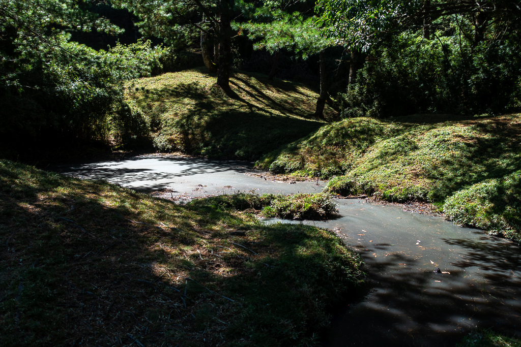 DSC01665.JPG DSC01665.JPG