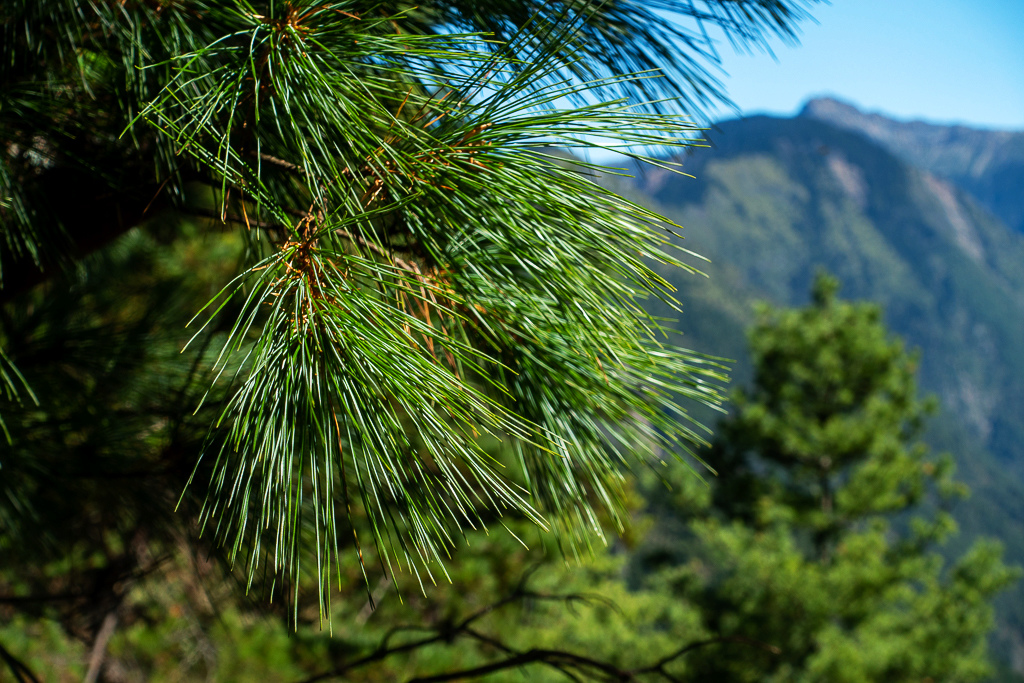 DSC01669.JPG DSC01669.JPG