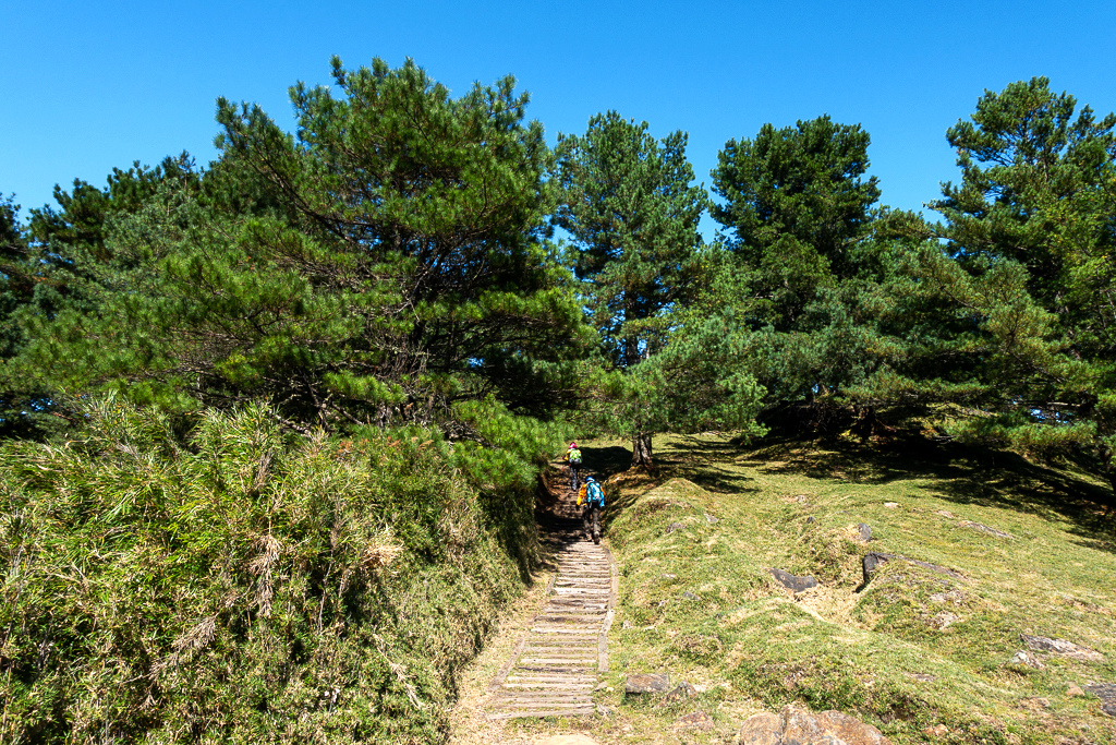 DSC01698.JPG DSC01698.JPG